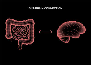 The Gut–Brain Connection How Digestive Health Influences Mood and Mental Wellness